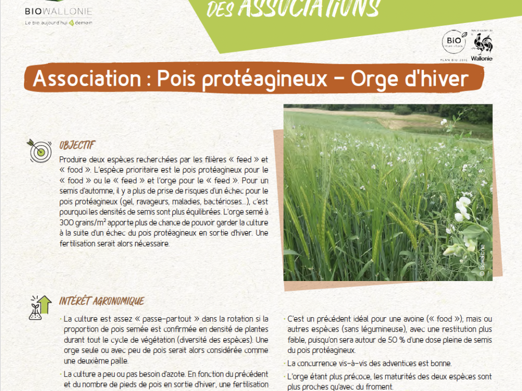 Itinéraire technique d&rsquo;association – Pois protéagineux – Orge d&rsquo;hiver