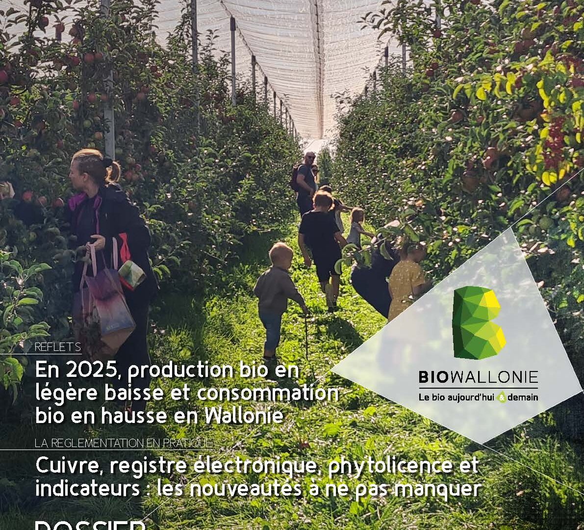 Itinéraires BIO 89 - Juillet-août 2026