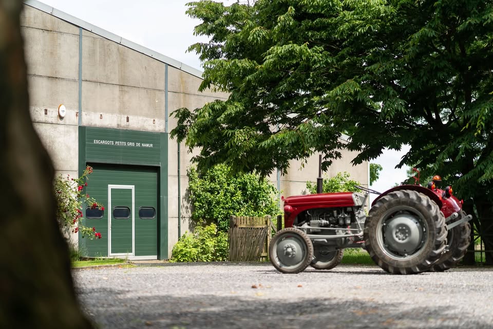 Coin de champ - BLUE DEAL AGRICOLE