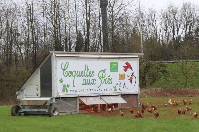 Visite de la Ferme du Chemin des Meuniers